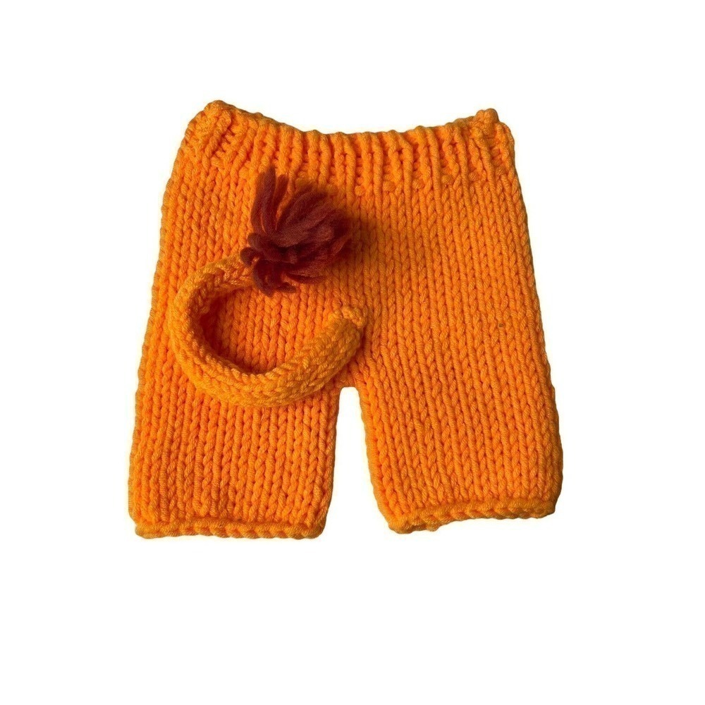 Newborn Photo Session Outfit Lion Costume Hand knit Baby Infant Hat Cap Pants - Picture 2 of 9